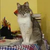 Отзыв от Алена Фокина